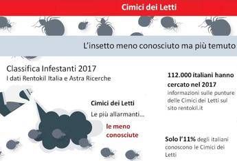Cimici dei letti, l'insetto più ricercato on line Cimici dei letti, l'insetto più ricercato on line